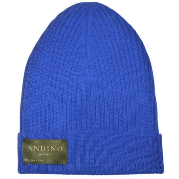 Royal blue alpaca wool beanie hat on a white background.